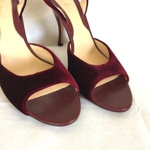 Elegant Cole Haan Velvet Slingback Heels